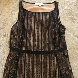 Loft Lace Peplum Top